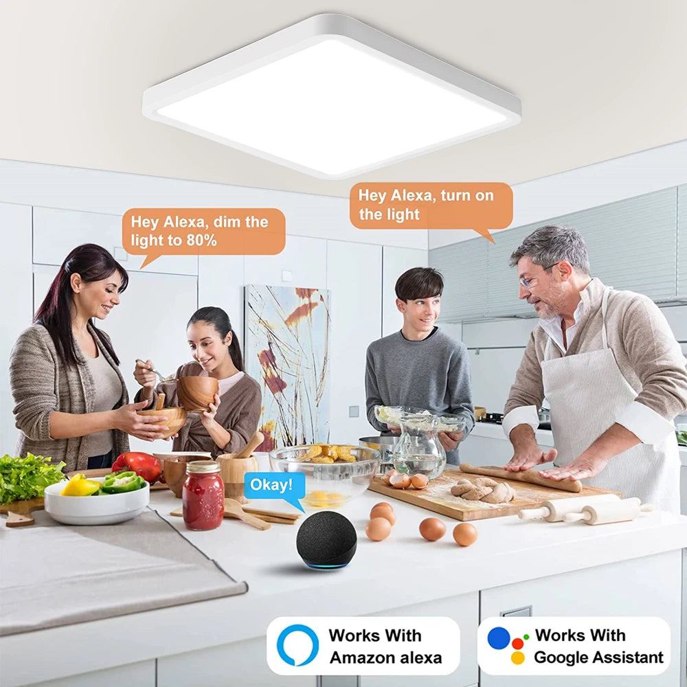Smart LED Ceiling Light with Alexa & App Control