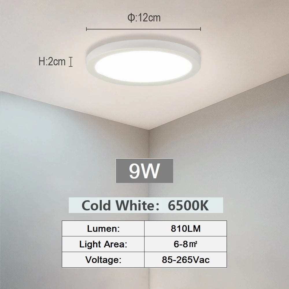 Smart LED Ceiling Light with Alexa & App Control