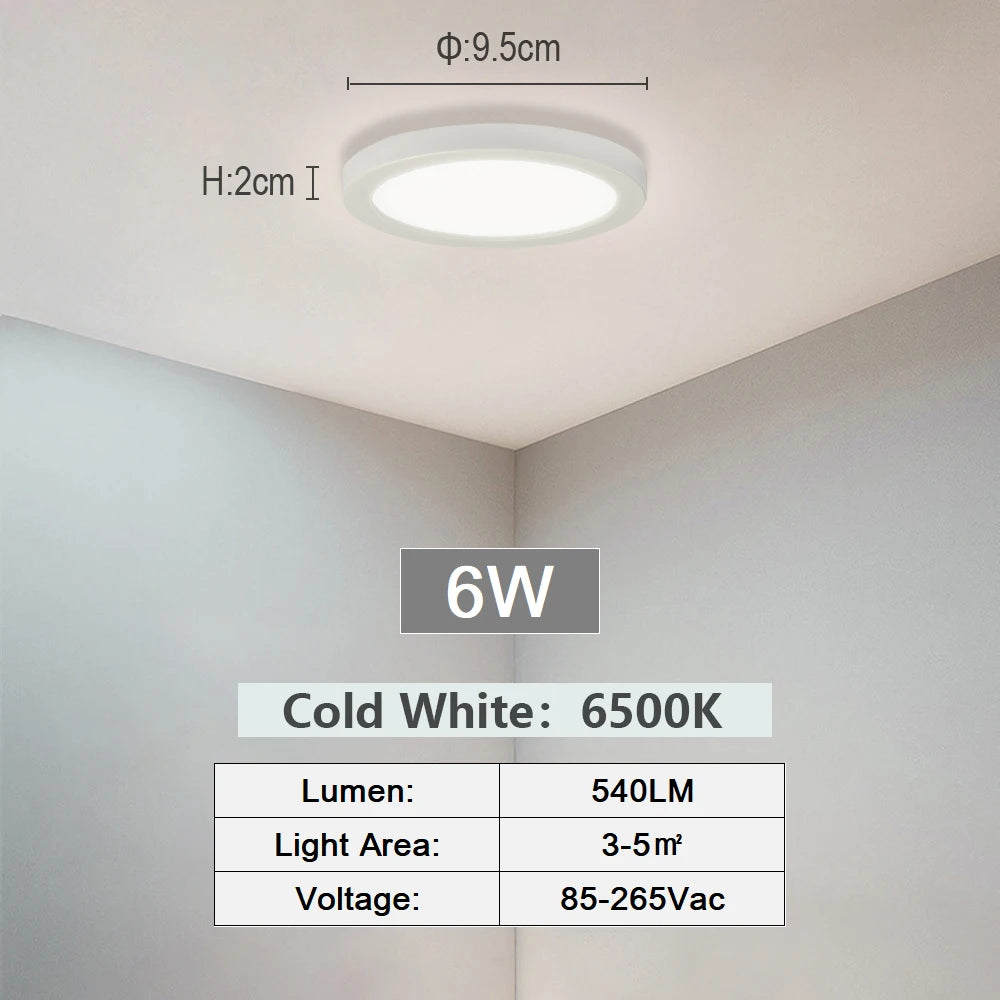 Smart LED Ceiling Light with Alexa & App Control