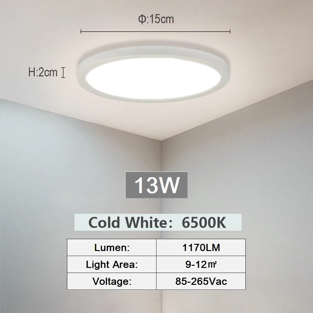 Smart LED Ceiling Light with Alexa & App Control